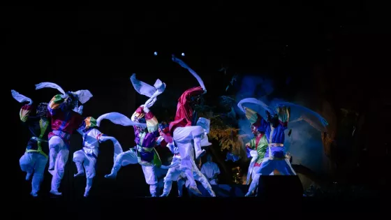 98700-festival-del-patrimonio-intangible-en-el-teatro-provincial