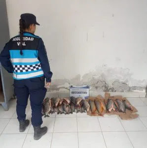 WhatsApp-Image-2024-09-14-at-12.23.22-PM-298x300