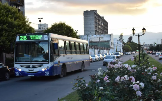 81751-servicios-de-saeta-para-maniana-jueves-y-el-viernes-santo