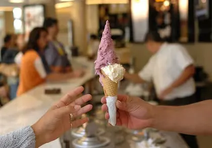 WhatsApp Image 2025-11-03 at 12.32.45