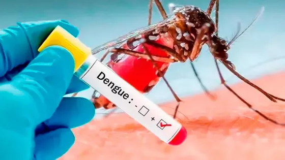 98602-salud-publica-informo-un-caso-de-dengue-en-la-ciudad-de-salta