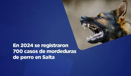 99341-se-registraron-mas-de-700-casos-de-mordeduras-de-perro-en-la-provincia