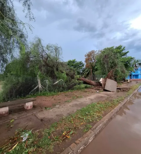 multimedia.miniatura.9677e199621e2037.bWluaWF0dXJhLndlYnA=