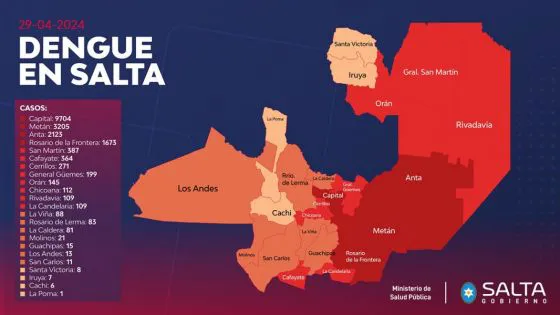 95381-en-salta-ya-se-confirmaron-mas-de-18-mil-casos-de-dengue
