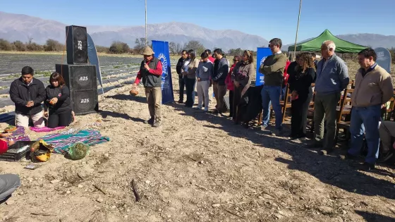 103524-se-realizo-la-apertura-de-la-cosecha-de-frutillas-2025