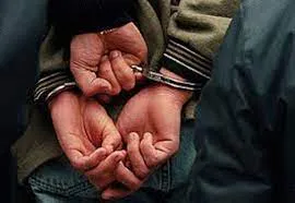 WhatsApp Image 2024-04-17 at 07.32.03