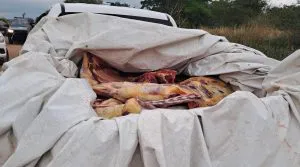 WhatsApp-Image-2025-11-06-at-21.35.40-300x167