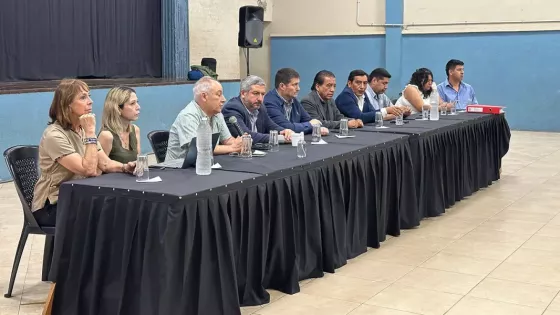 98600-el-gobierno-presento-el-plan-para-la-gestion-del-dengue-a-intendentes-del-sur-provincial