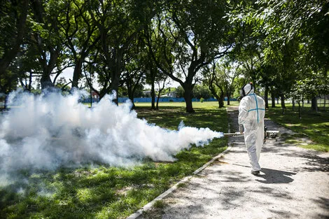 818153-fumiga-20almirante-20brown-201