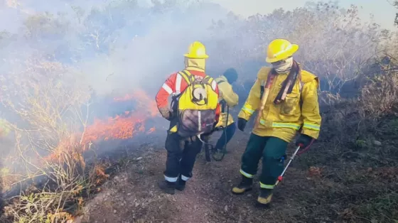 15374-controlaron-un-incendio-de-pastizales-en-el-cerro-elefante