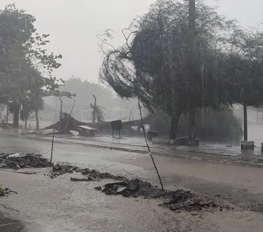 multimedia.miniatura.bb41325aa722d866.bWluaWF0dXJhLndlYnA=