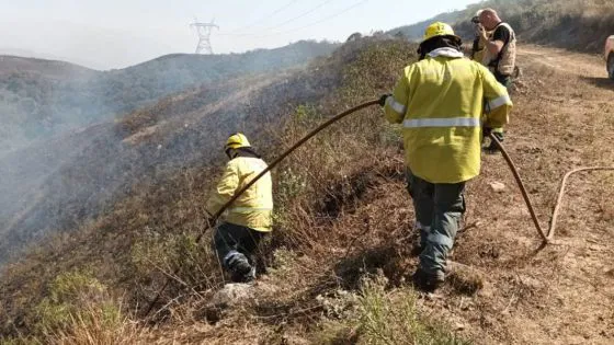 98038-defensa-civil-advierte-por-riesgo-extremo-de-incendios-forestales-en-salta