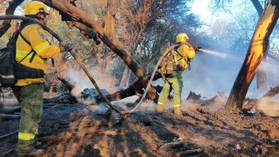 20595-brigadistas-y-bomberos-voluntarios-trabajan-para-contener-un-incendio-forestal-en-cafayate