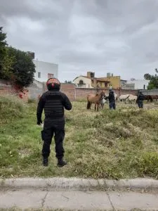 WhatsApp-Image-2025-10-06-at-9.18.38-PM-225x300