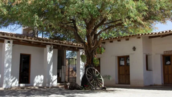 97777-se-inaugura-la-muestra-fecundar-la-ausencia-en-el-museo-jallpha-kalchaki