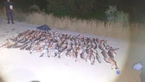 WhatsApp-Image-2025-03-18-at-1.21.42-PM-300x169