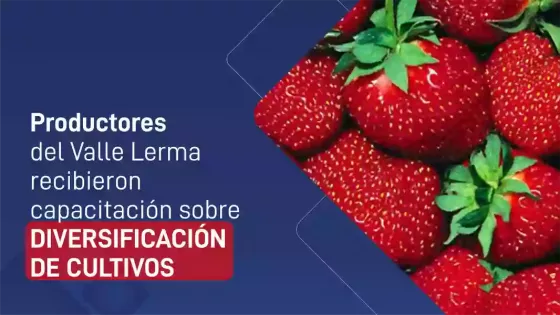 100660-productores-del-valle-lerma-recibieron-capacitacion-sobre-diversificacion-de-cultivos