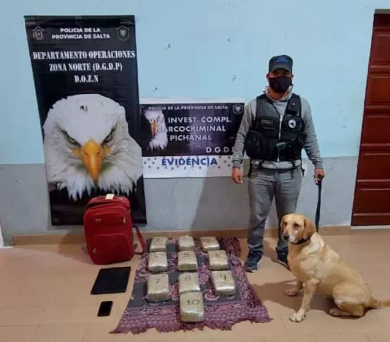 89261-exitoso-operativo-contra-el-narcotrafico-en-el-norte-provincial