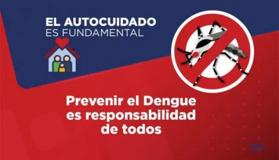 98283-recomendaciones-contra-el-dengue-la-prevencion-empieza-en-casa