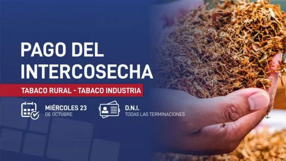 98339-maniana-se-pagara-el-programa-intercosecha