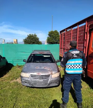 WhatsApp-Image-2024-12-06-at-8.59.51-AM-361x420