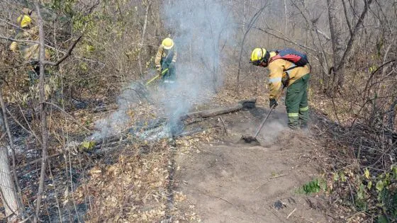 8413-intenso-operativo-para-extinguir-incendios-forestales-en-el-norte-provincial