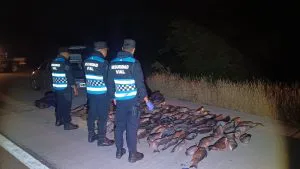 WhatsApp-Image-2025-03-18-at-1.21.41-PM-1-300x169