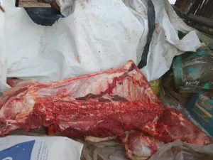 WhatsApp-Image-2024-09-10-at-8.10.15-PM-300x225