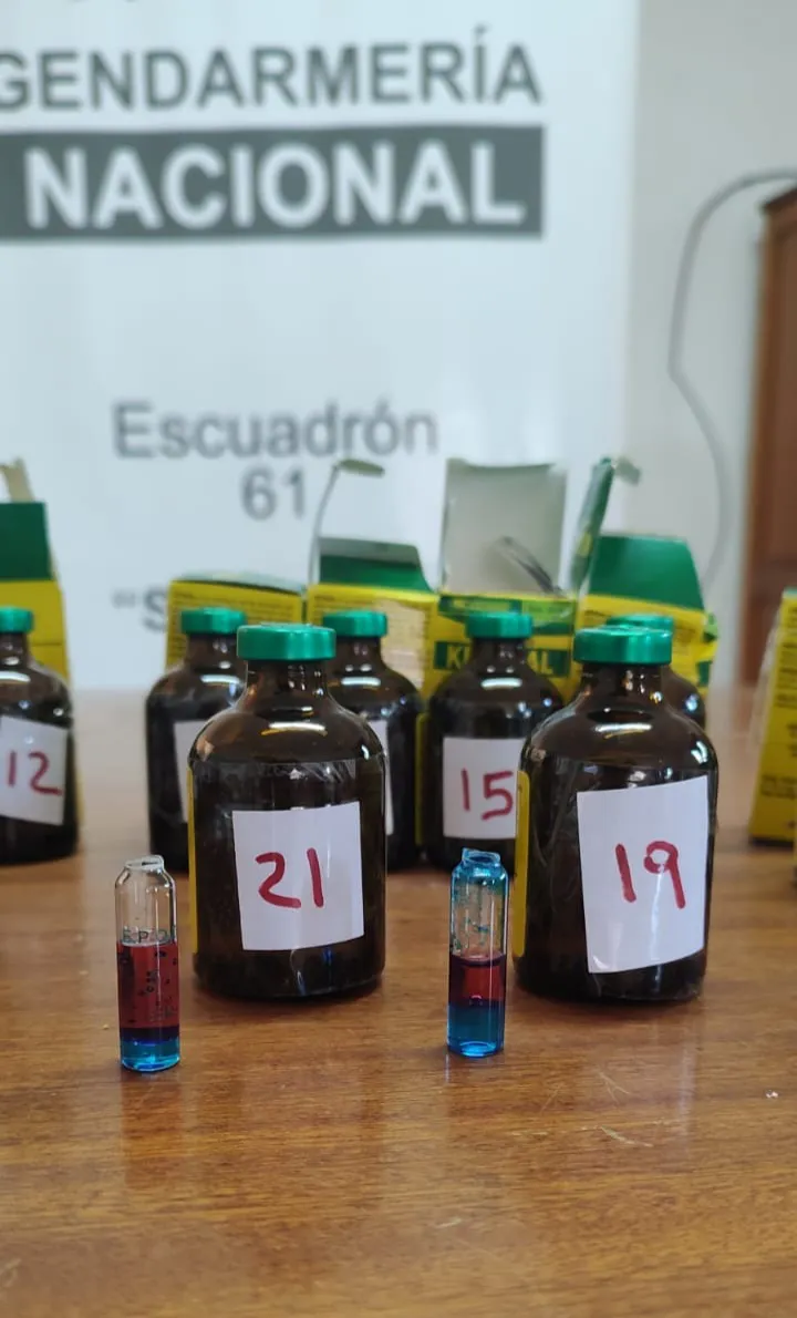 Intentaban ingresar al país con 24 frascos de Ketamina (3)