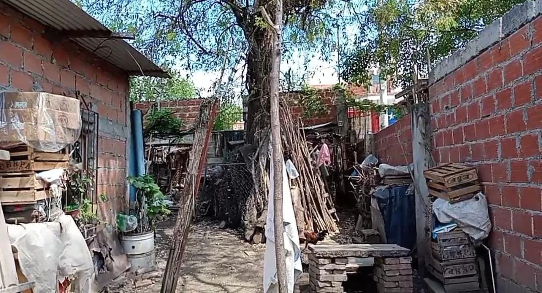 WhatsApp Image 2024-10-31 at 11.42.36