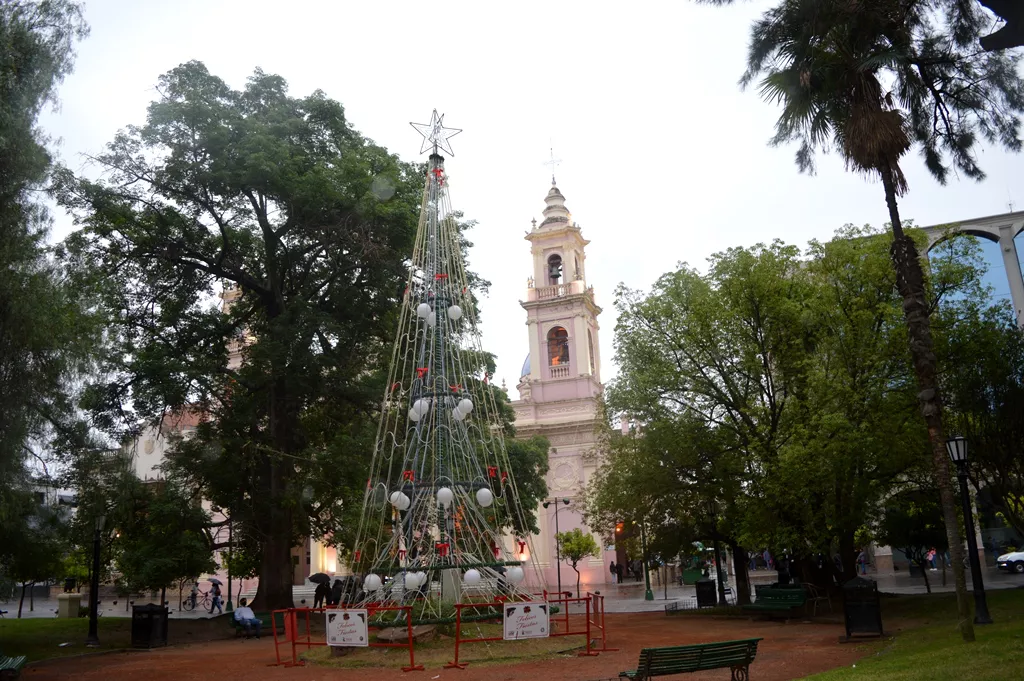 arbolito