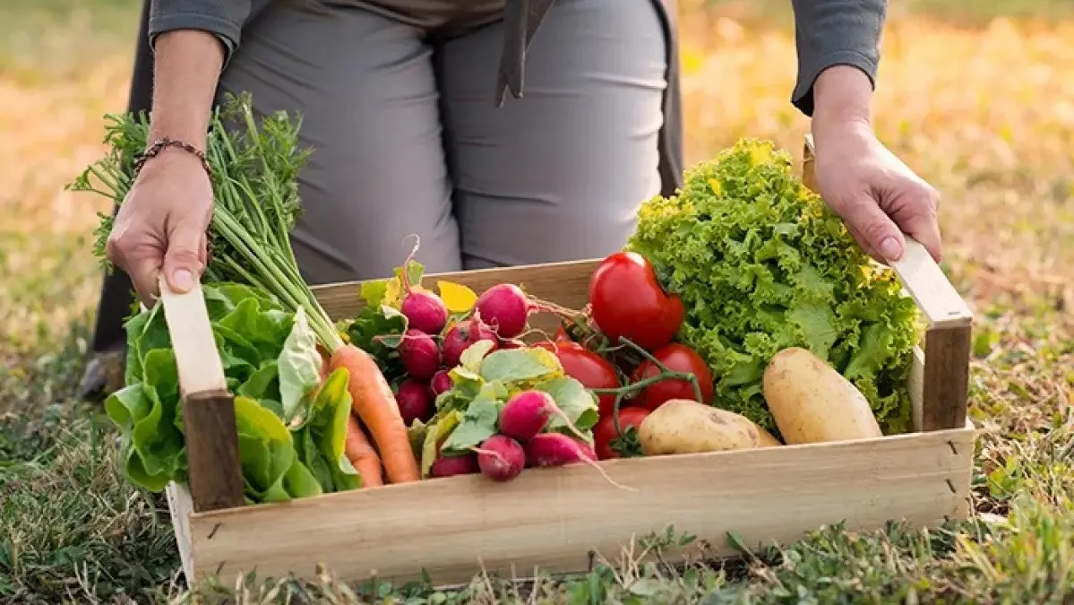 agroalimentos