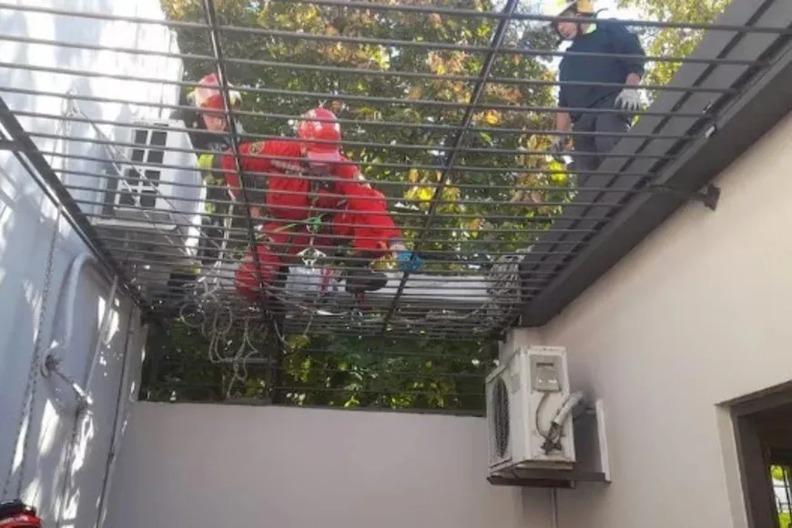 WhatsApp Image 2024-04-29 at 07.41.09