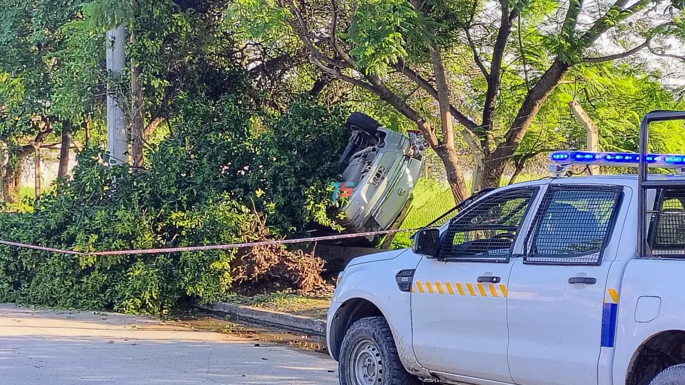 WhatsApp Image 2025-01-13 at 08.27.13 (1)