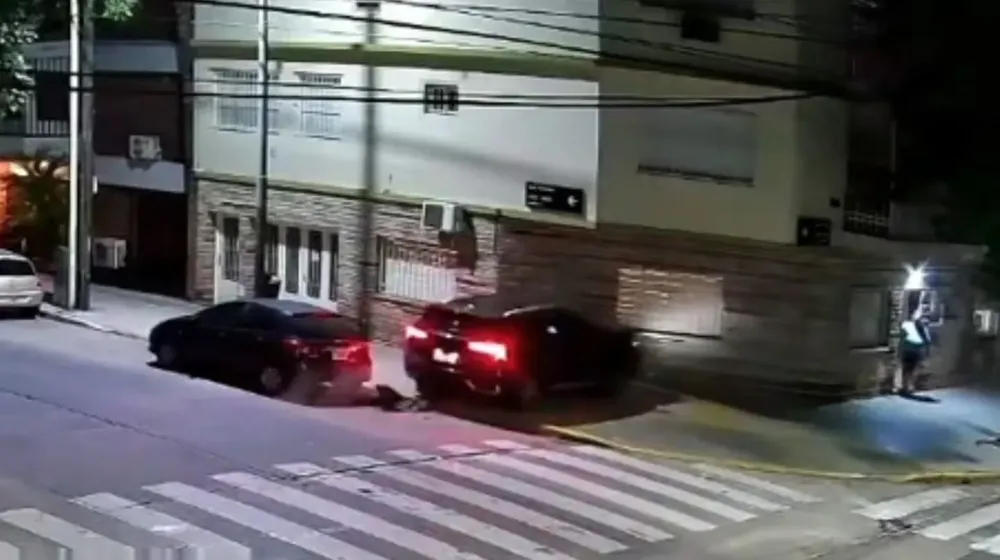 6-454-tH9CX01764849707111-1764850736