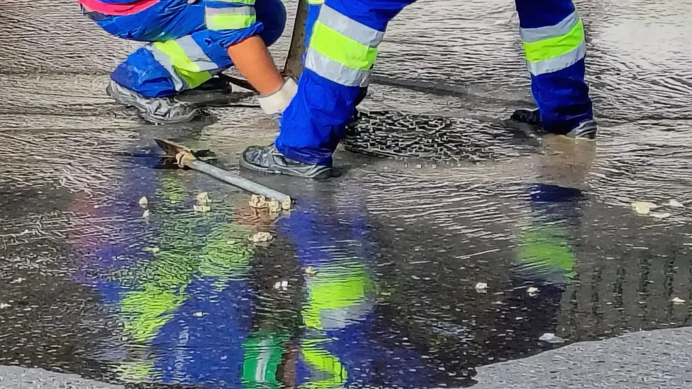 WhatsApp Image 2025-01-20 at 08.53.09