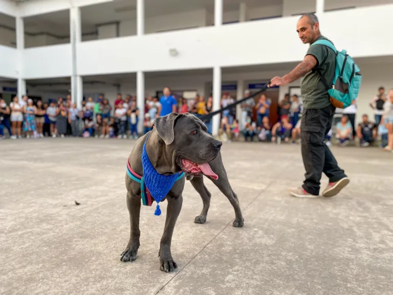 taller-perros-peligrosos-10-768x576