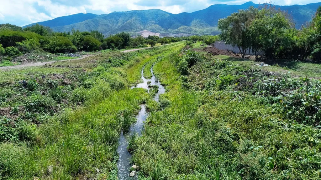 limpieza-canal-5-1024x576