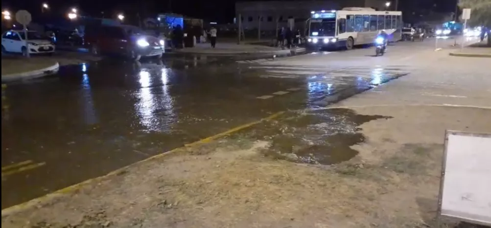 WhatsApp Image 2022-07-29 at 9.38.53 PM