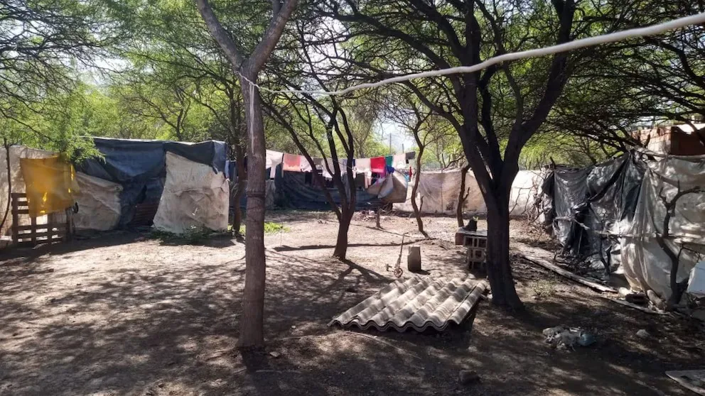 WhatsApp Image 2024-11-21 at 07.54.15