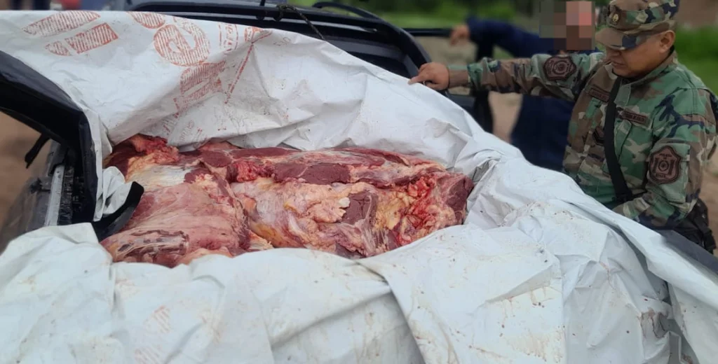 WhatsApp-Image-2026-03-22-at-16.21.33-1024x520