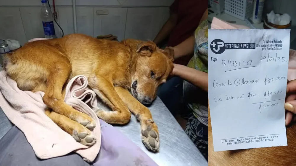 PORTADA PARA TODO SALTA