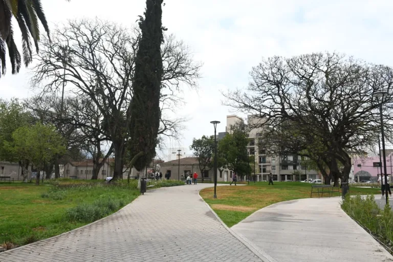 obras-ex-paludica-15-768x512