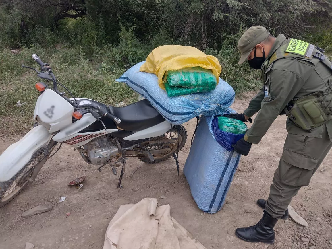decomisan_mas_de_143_kilos_de_hoja_de_coca_en_tres_procedimientos_1 (1)
