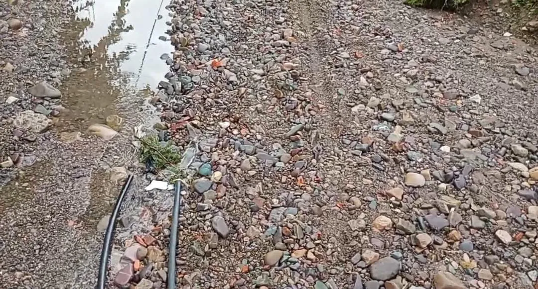 WhatsApp Image 2024-11-05 at 10.12.41 (1)