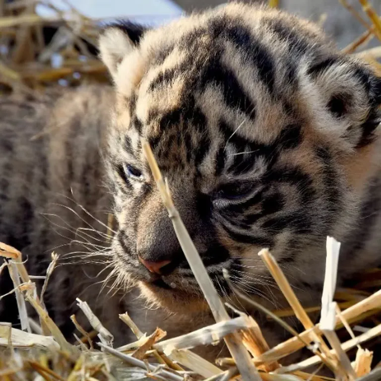 WhatsApp Image 2024-01-11 at 10.52.02