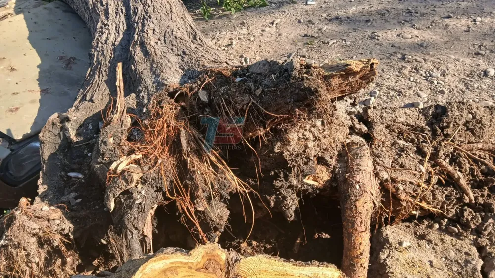 PORTADA PARA TODO SALTA (1)