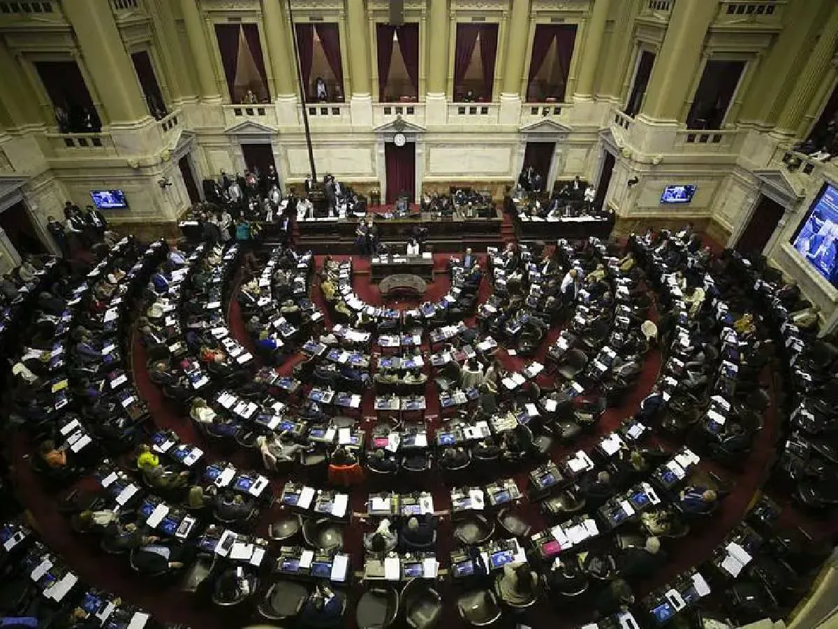 WhatsApp Image 2024-03-13 at 09.17.23