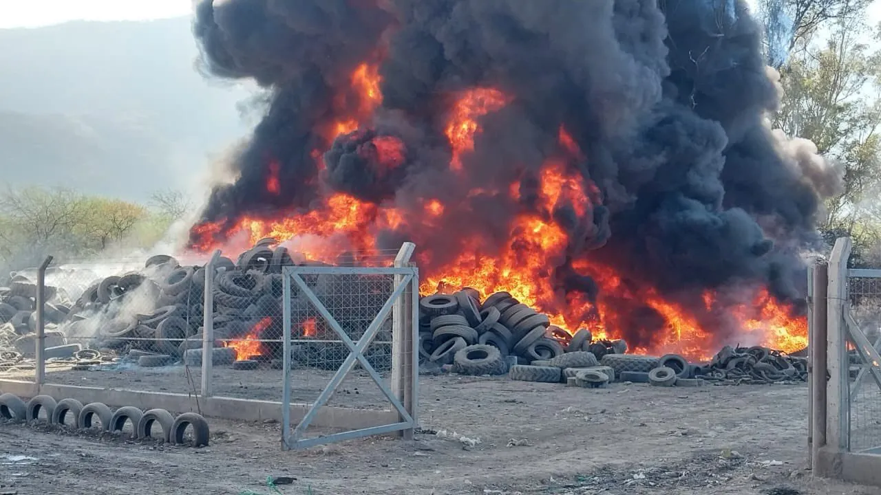 WhatsApp Image 2024-09-19 at 12.34.23