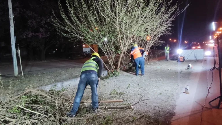 poda-nocturna-ruta-21-3-768x432